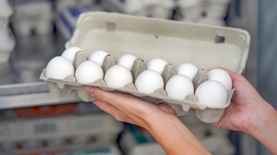 أسعار البيض