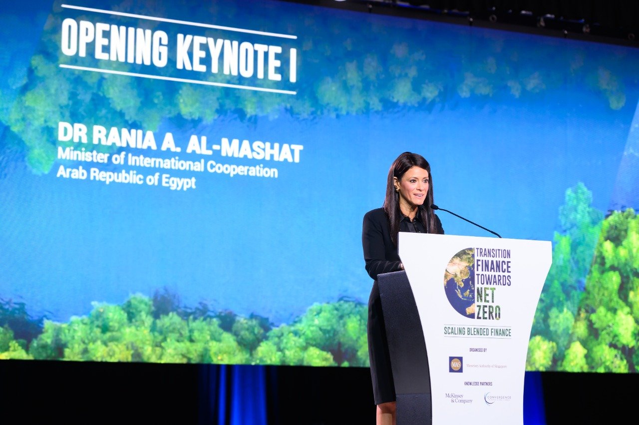 "المشاط": 250 مليار دولار احتياجات أفريقيا لمواجهة التغيرات المناخية