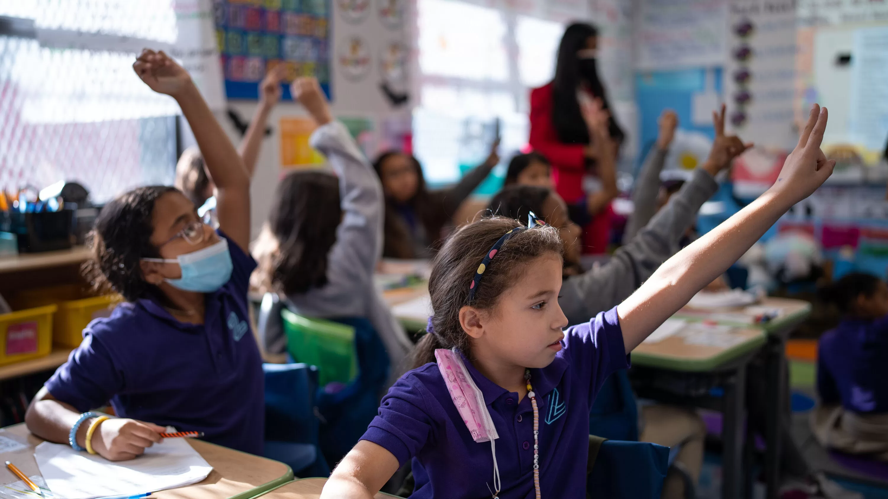 التعليم ؛ المدارس