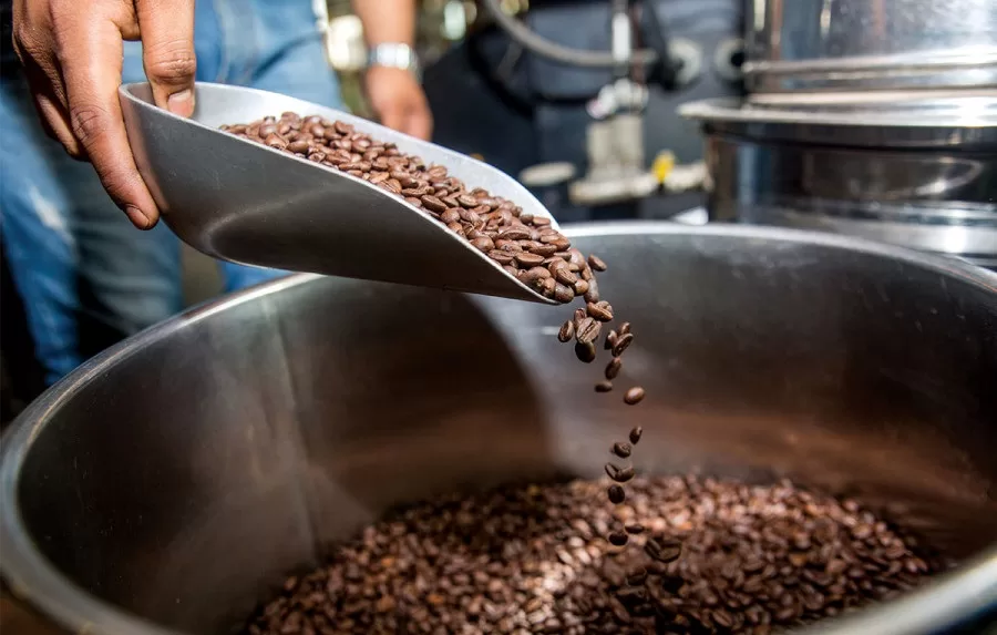 البن ؛ القهوة