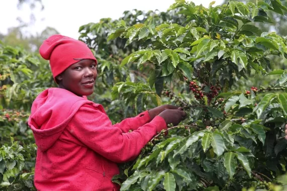 البنك الدولي يتعهد بتكثيف دعمه لأجندات التنمية الطويلة الأجل في أفريقيا