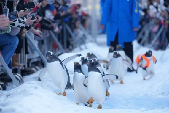 خطة لتطوير صناعة السياحة في شمال شرق الصين حتى 2030