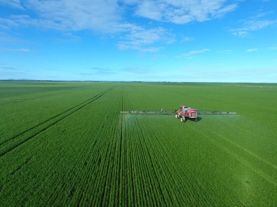 السيسى يوجه بإضافة 3.5 مليون فدان فى الدلتا الجديدة وتوشكى وسيناء للرقعة الزراعية