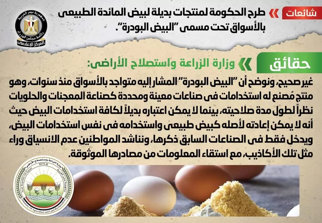 الحكومة تنفي طرح منتجات بديلة لبيض المائدة الطبيعي بالأسواق