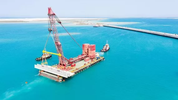 لتحقيق التنمية المستدامة.. شركة صينية تعمل على بناء مبادرة "الشرق الأوسط الأخضر"