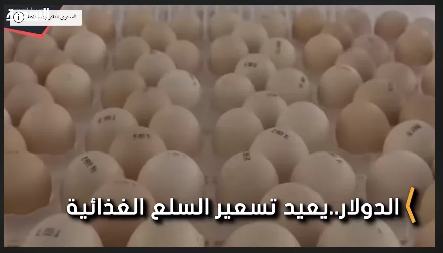 عضو الصناعات الغذائية يكشف موعد تغير الأسعار