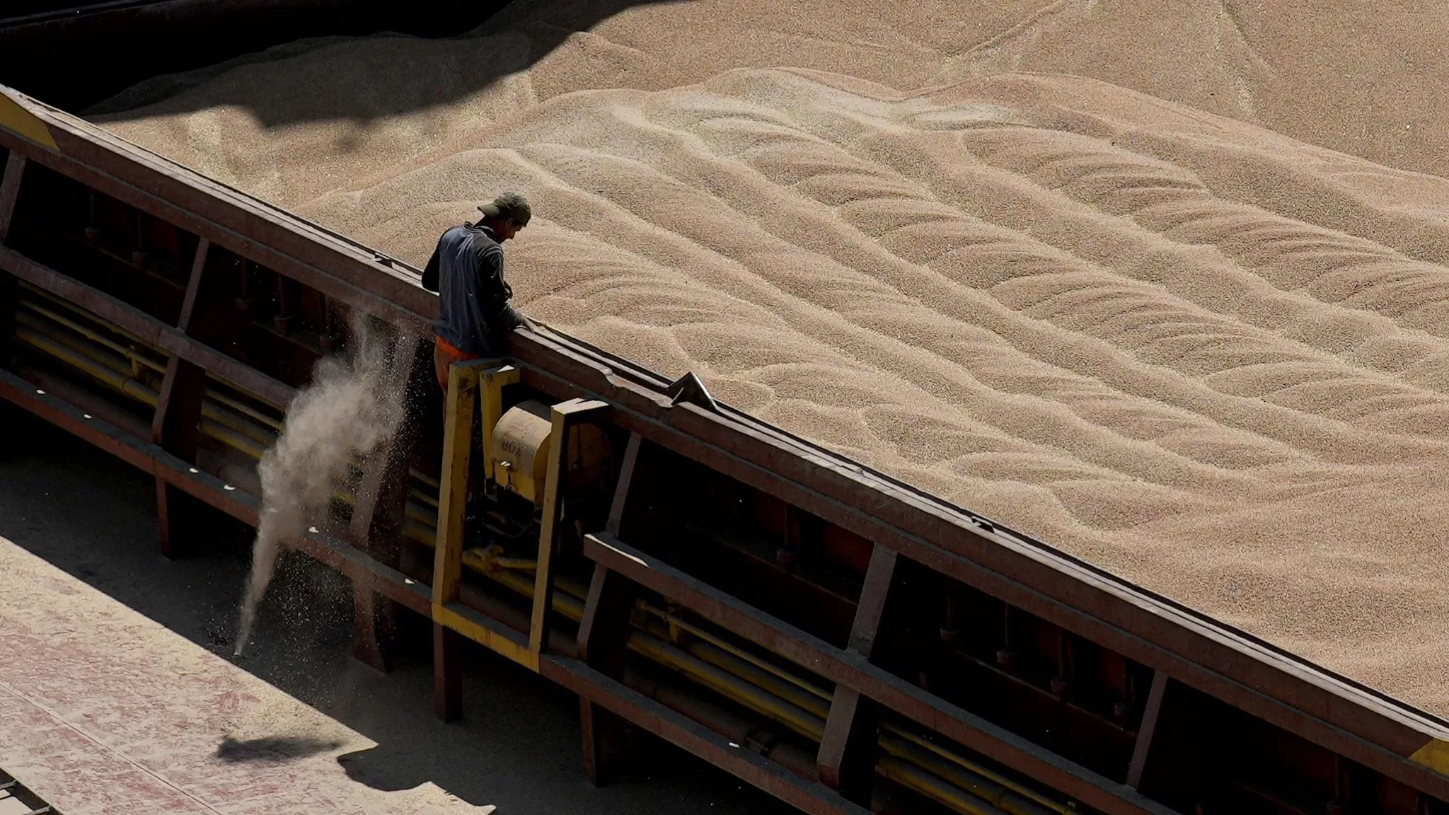 صادرات الحبوب