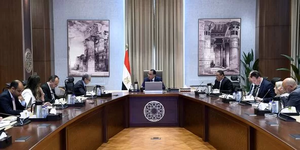 رئيس الوزراء يؤكد أهمية جهود التطوير المستمر لقطاع الكهرباء والطاقة الجديدة والمتجددة