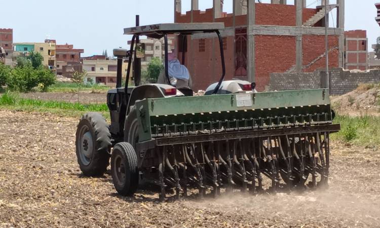 كفر الشيخ تستخدم طريقة “السطارة” في زراعة الأرز لتوفير المياه