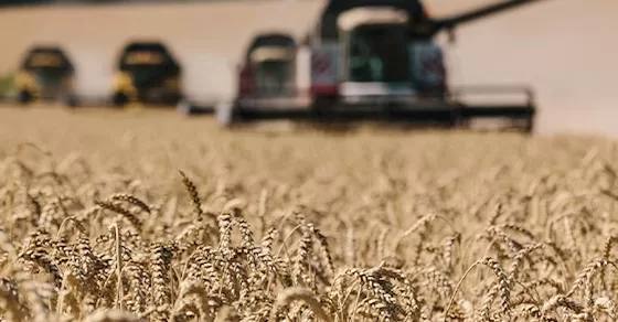 وزارة الزراعة الأوكرانية: صدرنا أكثر من 44 مليون طن من الحبوب من يوليو 2022 وحتى الآن