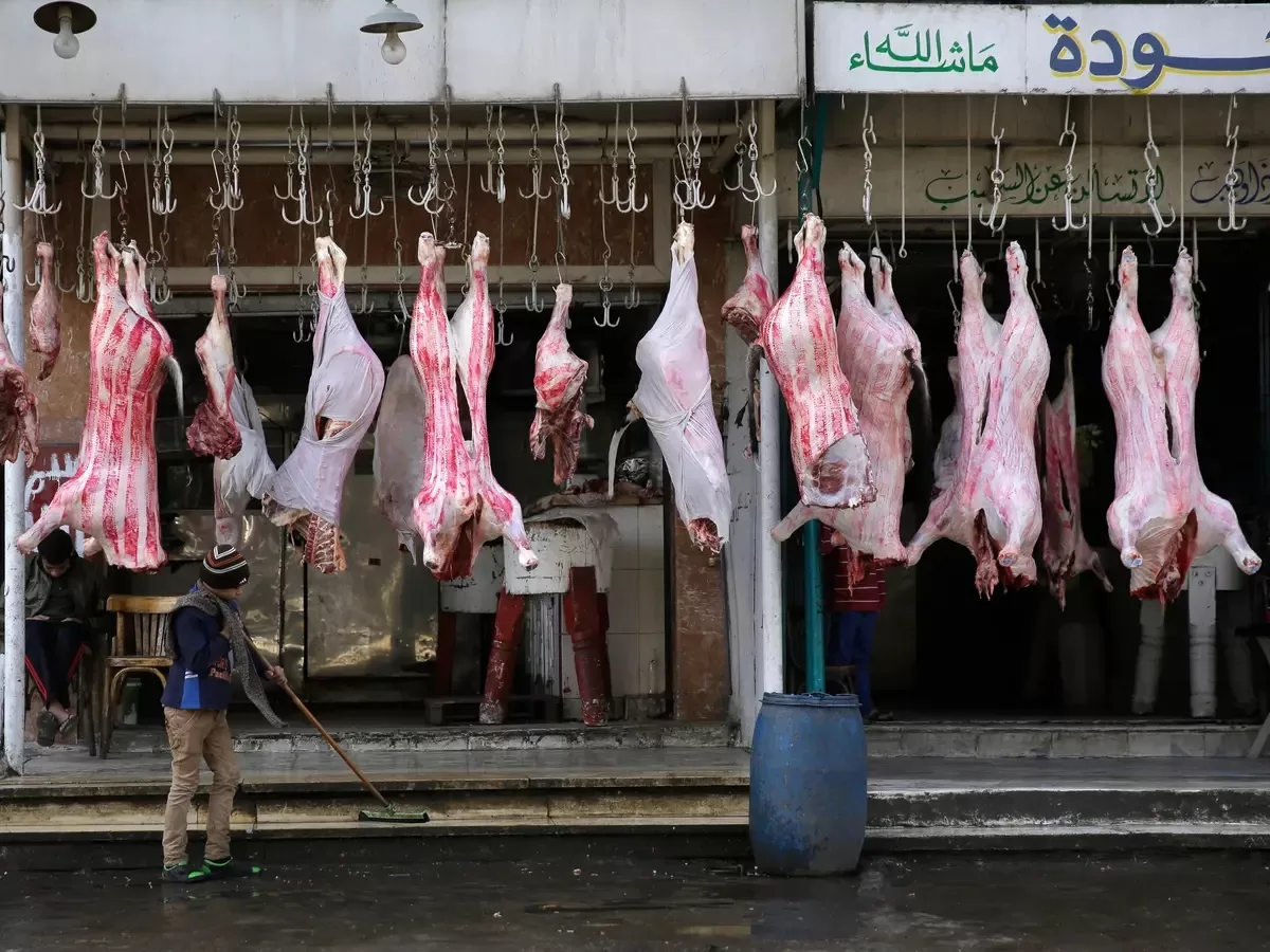 اللحوم فى مصر
