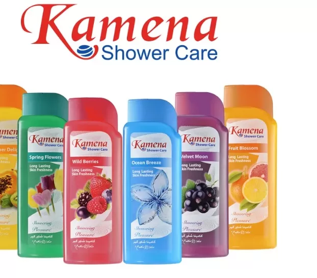 “كامينا” ترجئ استيراد معدات مصنعها الجديد لحين استقرار سعر الصرف