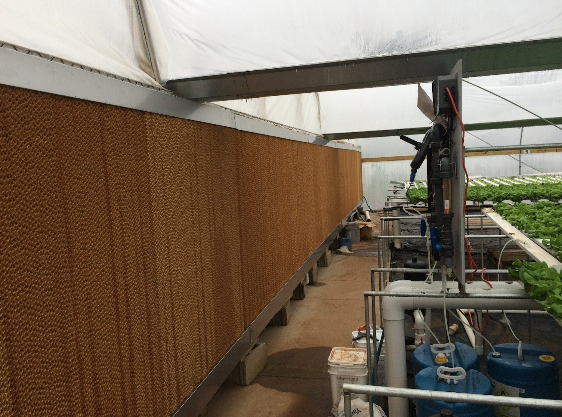 "سمارت فالكون" للتبريد تضيف خطى إنتاج العام المقبل