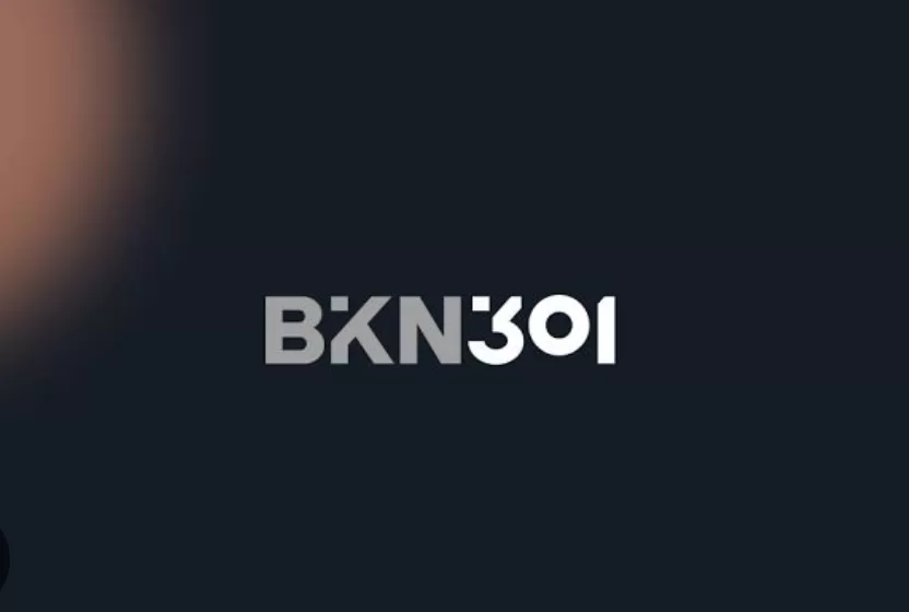 "بى كيه إن 301" تسعى للحصول على رخصة "ميسر دفع" فى مصر