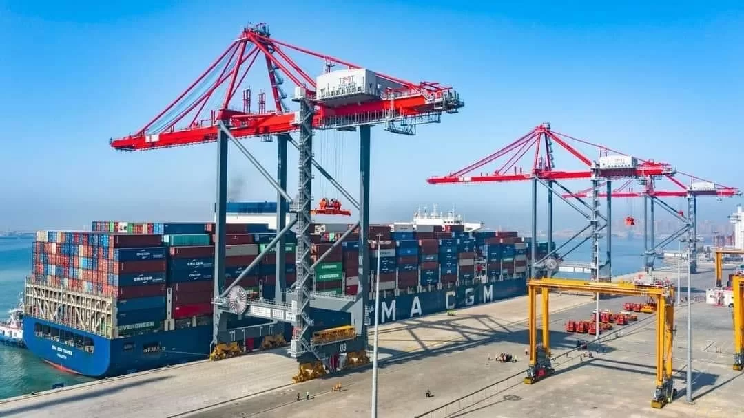 محطة حاويات تحيا مصر