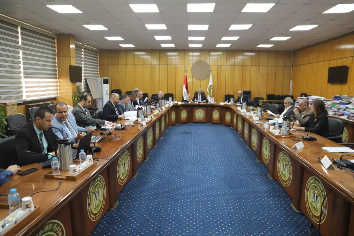 "صندوق التدريب" ينفق 175.4 مليون جنيه على منظومة التأهيل منذ تأسيسه