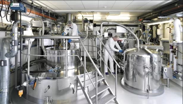 سلامة الغذاء