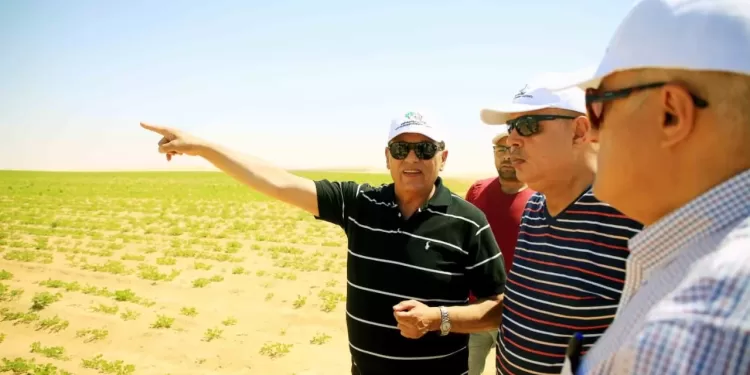 "الريف المصري": تقديم الدعم للمنتفعين من الـ1.5 مليون فدان