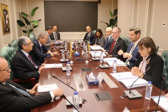 مباحثات مصرية سويدية لتعزيز التعاون في قطاع الكهرباء