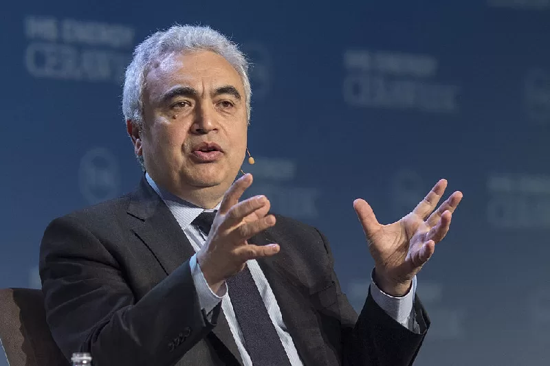 فاتح بيرول ؛ وكالة الطاقة الدولية