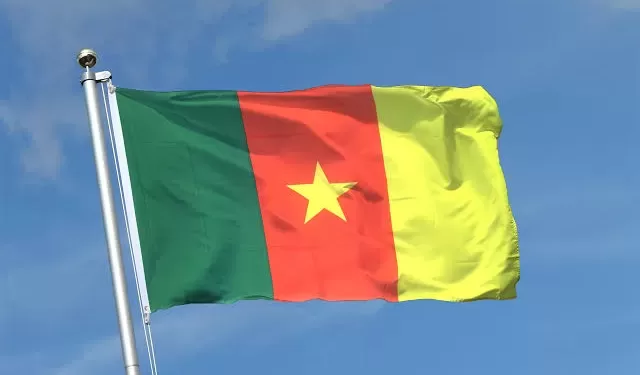 الكاميرون