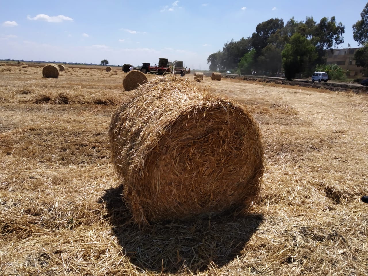 المخلفات الزراعية