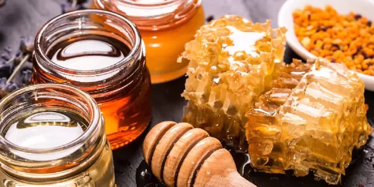 المناحل ؛ صناعة العسل
