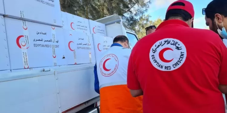"الهلال الأحمر" يضخ 14430 طناً من التبرعات العينية لفلسطين