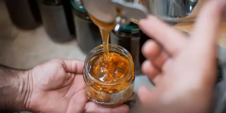 المناحل ؛ صناعة العسل