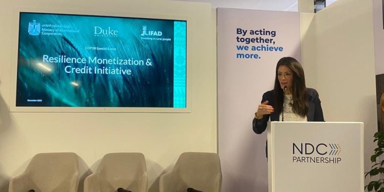 رانيا المشاط وزيرة التعاون الدولي