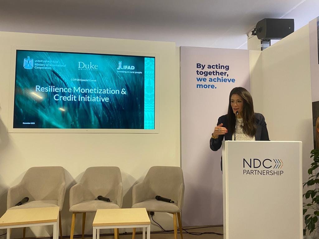 رانيا المشاط وزيرة التعاون الدولي