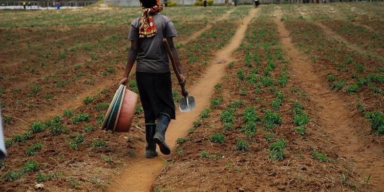 أفريقيا ؛ إفريقيا