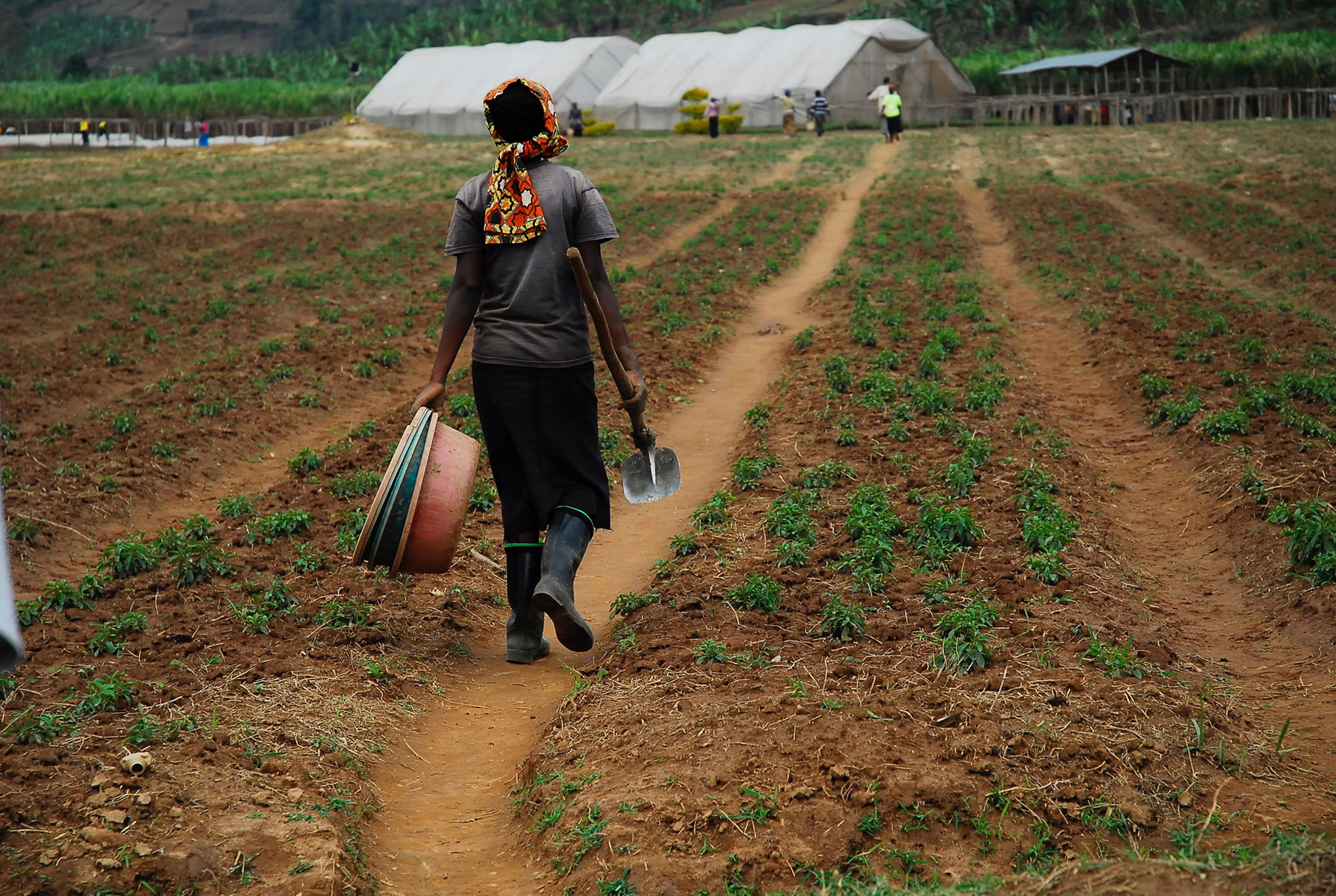 أفريقيا ؛ إفريقيا