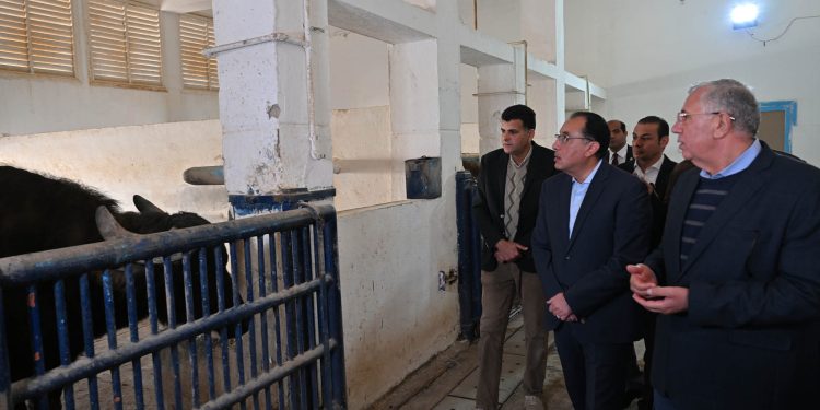 جولة رئيس مجلس الوزراء اليوم بمشروعات الإنتاج الزراعي والحيواني في محافظة الاسكندرية