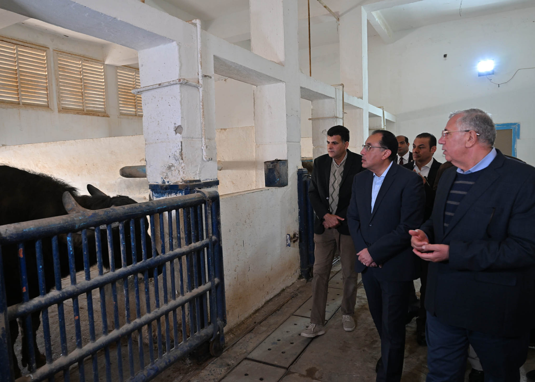 جولة رئيس مجلس الوزراء اليوم بمشروعات الإنتاج الزراعي والحيواني في محافظة الاسكندرية