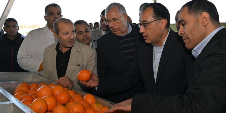 رئيس الوزراء يتفقد محطة شركة "جامكو" لتعبئة البرتقال واليوسفي بالنوبارية