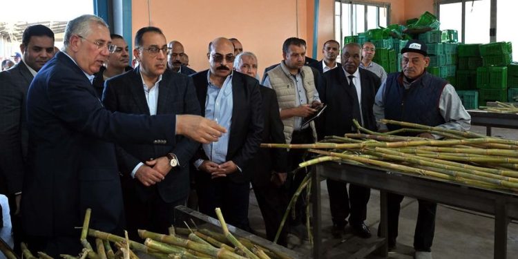 رئيس الوزراء يتفقد محطة شتلات قصب السكر بكوم امبو