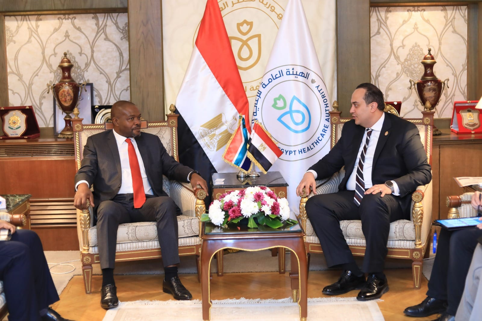 مصر تستهدف التعاون مع جنوب إفريقيا في إنشاء عيادات للسياحة العلاجية