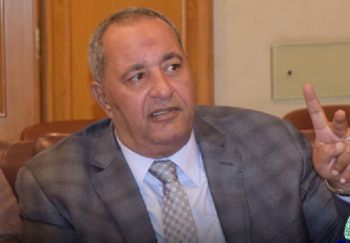 سيد النواوى، نائب رئيس شعبة المستوردين بغرفة القاهرة التجارية