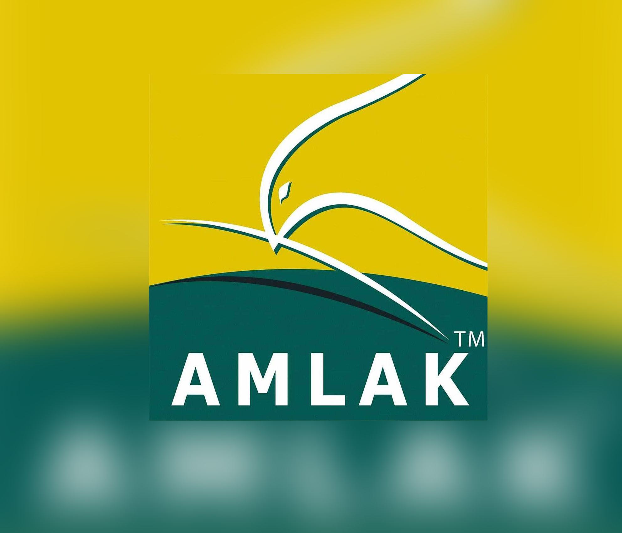 شركة أملاك للتمويل – مصر