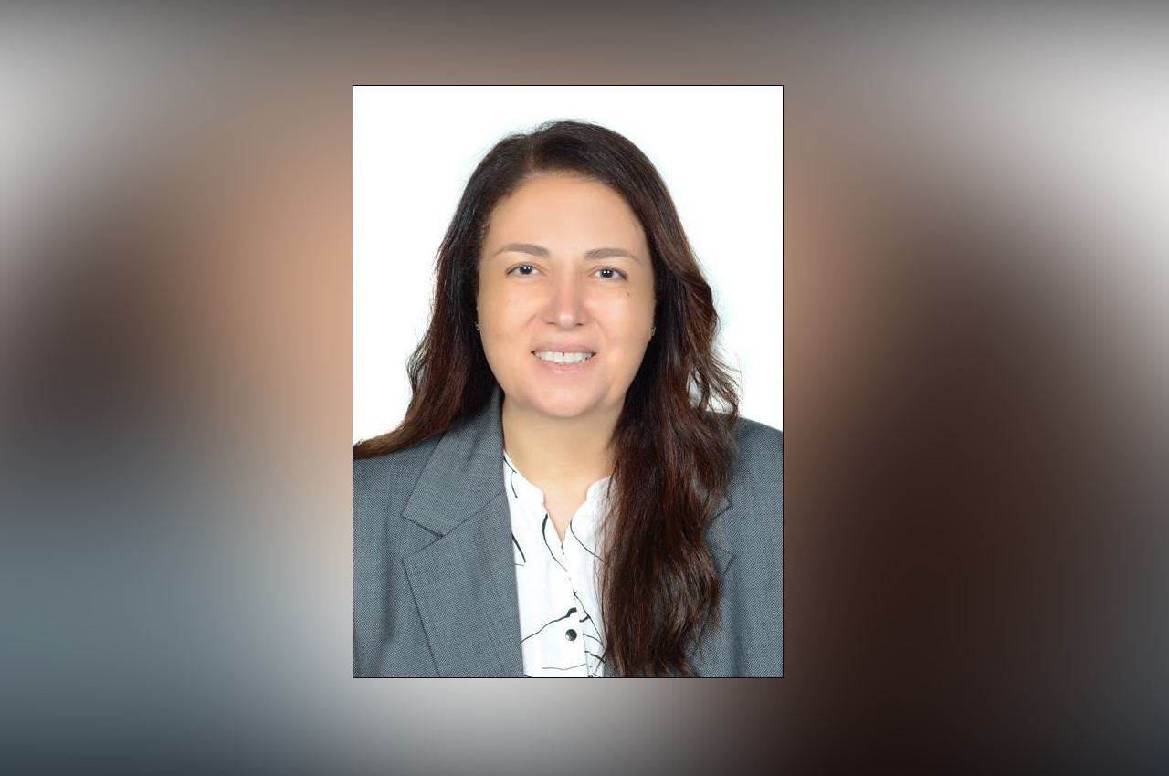 شيرين الشرقاوى، مساعد وزير المالية للشئون الاقتصادية