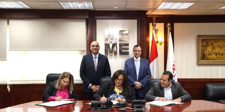 30 مليون جنيه تمويلات جديدة للمشروعات متناهية الصغر