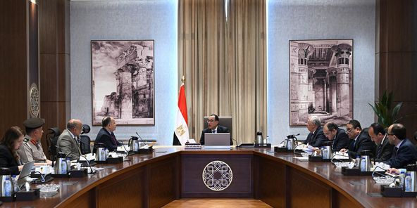 رئيس الوزراء يبحث سبل تشجيع صناعة الأسمدة للتوسع وزيادة حجم صادراتها