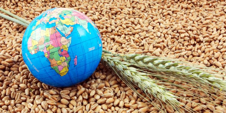 الأمن الغذائي