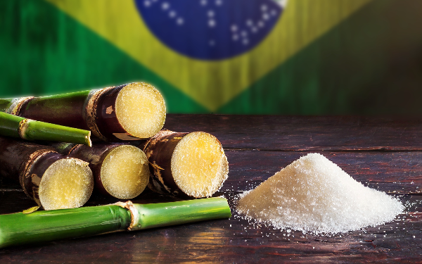 إنتاج السكر في البرازيل