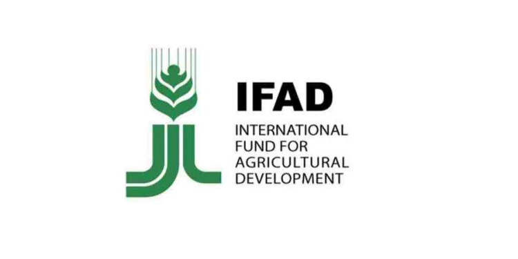 الصندوق الدولى للتنمية الزراعية (إيفاد)