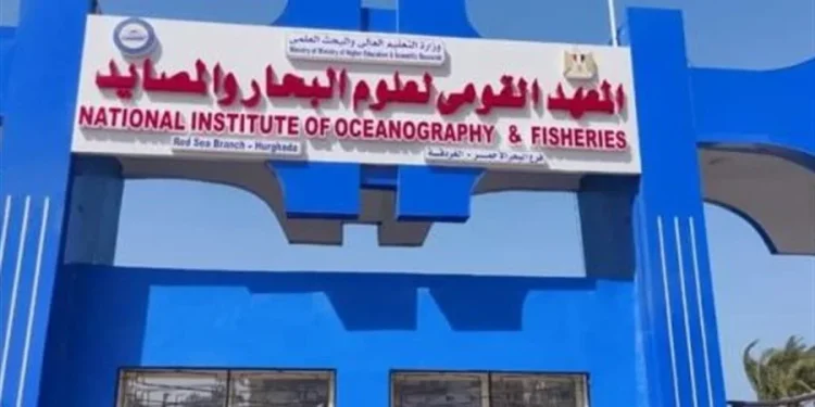 علوم البحار