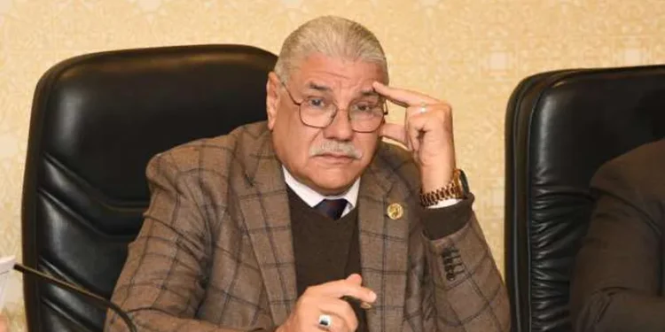 النائب محمود الصعيدى، أمين سر اللجنة الاقتصادية بمجلس النواب