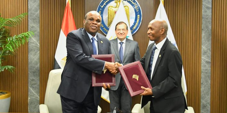 تأسيس "البنك الأفريقي للطاقة" برأسمال مبدئي 5 مليارات دولار