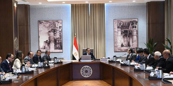 "سرايا" اليابانية تنفذ مجمعًا صناعيًا فى مصر باستثمارات 12 مليار دولار